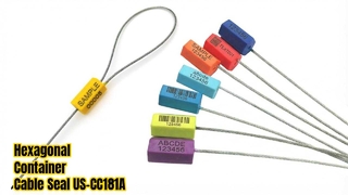 Sigilla cavi monouso esagonali per pacchi sicuri